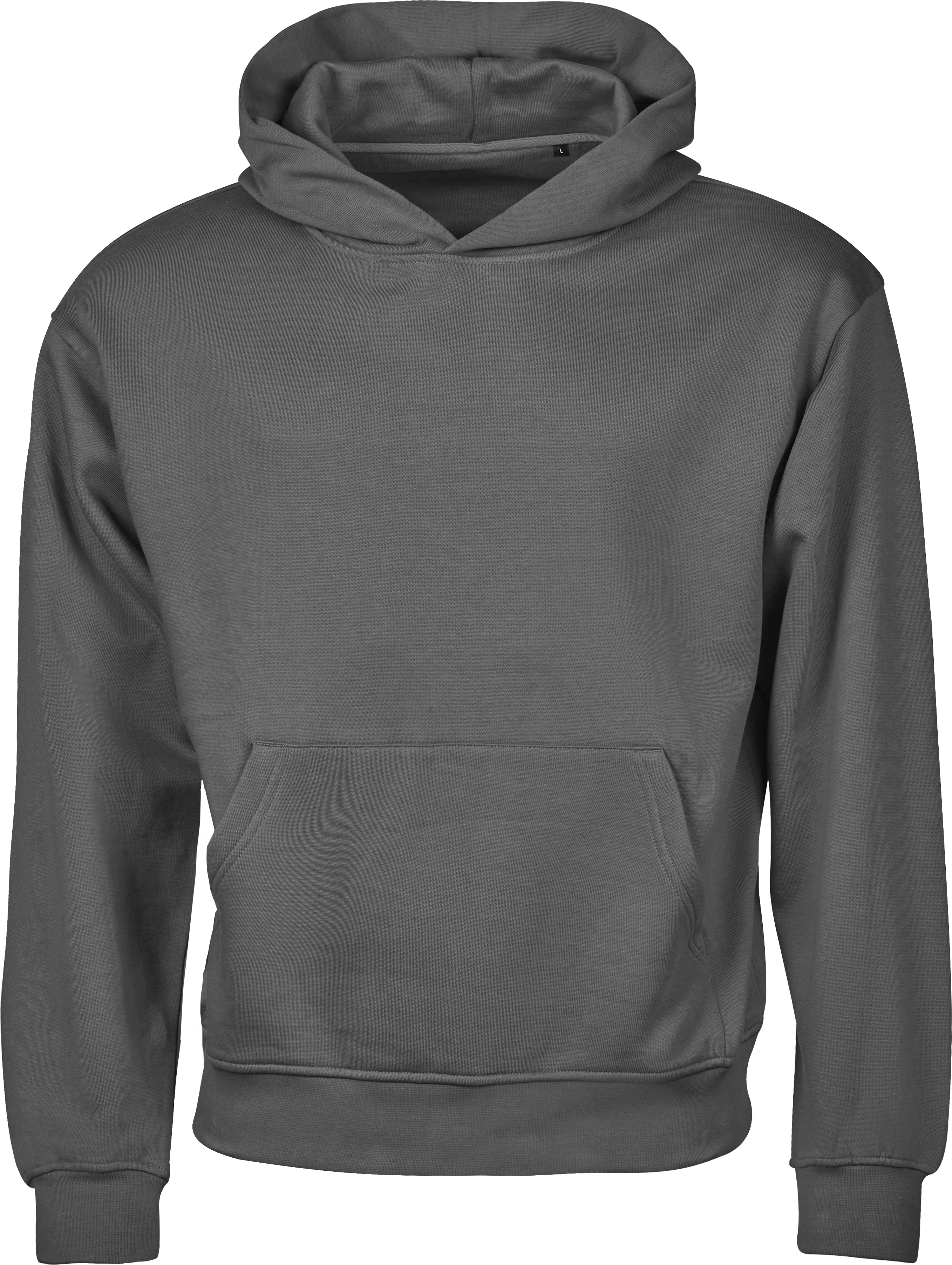 Unlabeled Loose Fit Hoodie, huvtröja unisex från Tee Jays i Pudergrå