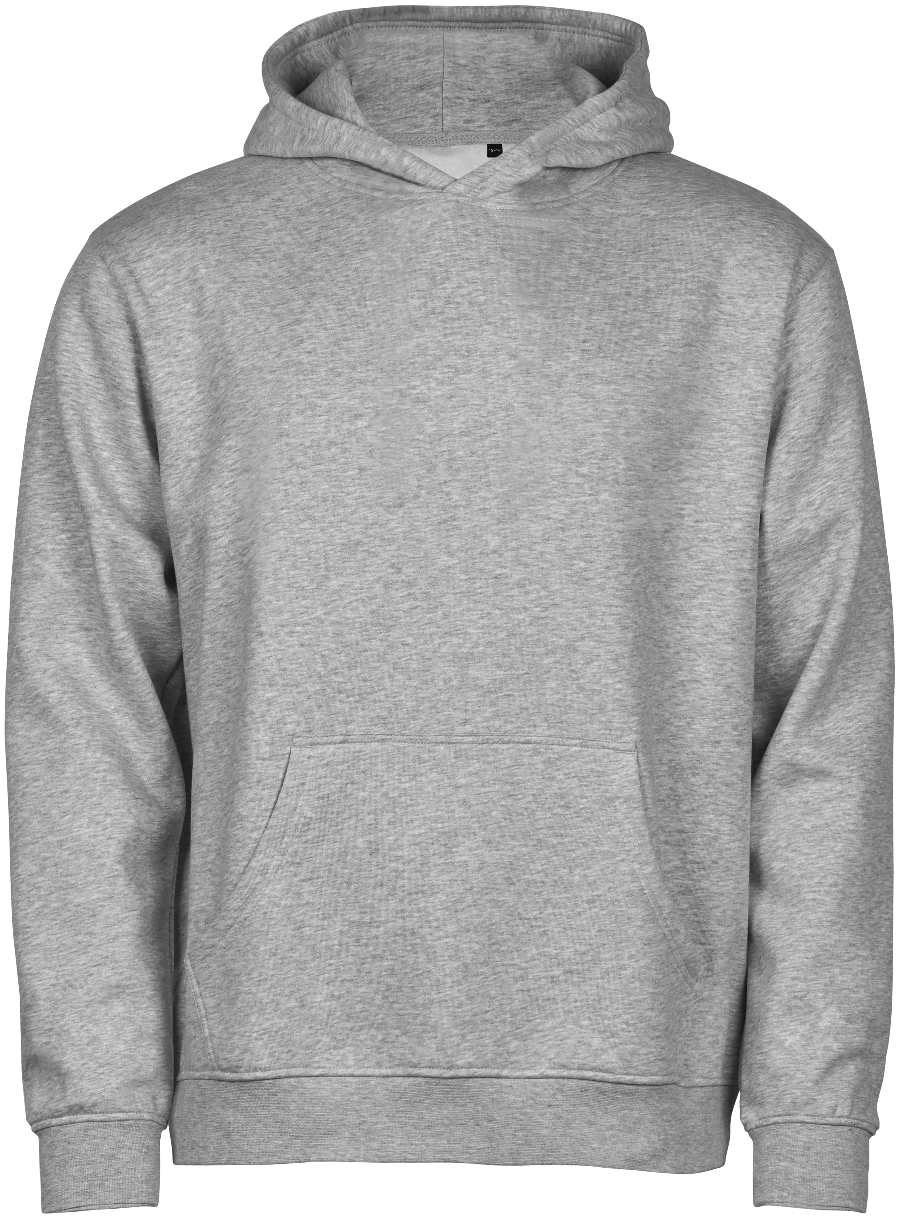 Unlabeled Hoodie, huvtröja för barn från Tee Jays i Grå melange
