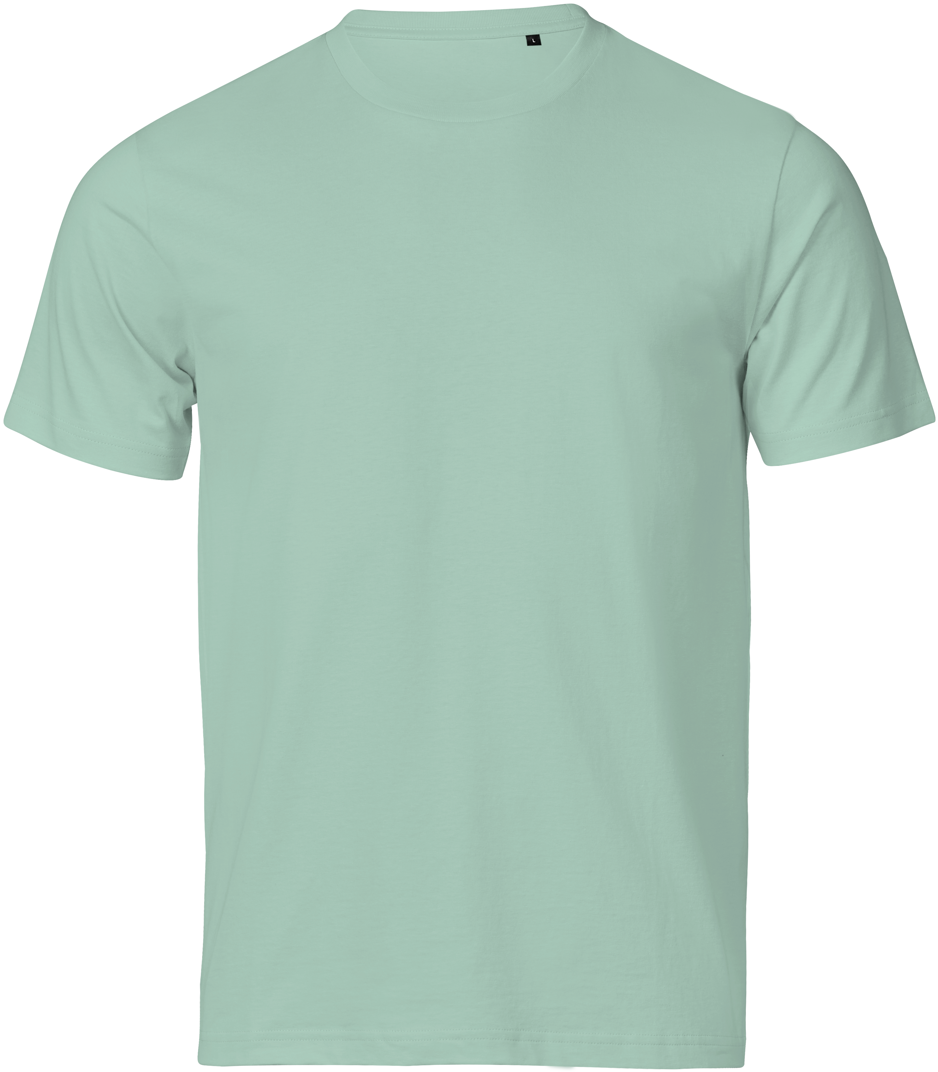 Unlabeled Luxury Tee, t-shirt unisex från Tee Jays i Mint